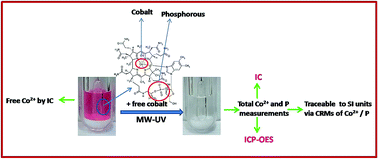Graphical abstract: Traceable quantitation of cyanocobalamin (vitamin B12) via measurement of cobalt and phosphorus: a comparative assessment using inductively coupled plasma atomic emission spectrometry (ICP-AES) and ion chromatography (IC)