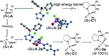 Graphical abstract: 4-Dimethylaminopyridine-catalyzed dynamic kinetic resolution in asymmetric synthesis of P-chirogenic 1,3,2-oxazaphospholidine-2-oxides