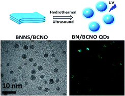 Graphical abstract: Hydrothermal synthesis of blue-fluorescent monolayer BN and BCNO quantum dots for bio-imaging probes