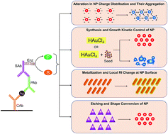 Graphical abstract: Plasmonic-ELISA: expanding horizons