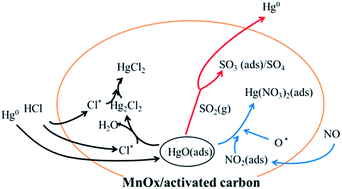 Graphical abstract: Effect of the properties of MnOx/activated carbon and flue gas components on Hg0 removal at low temperature