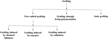 Graphical abstract: Chemical modification of starch and its application as an adsorbent material