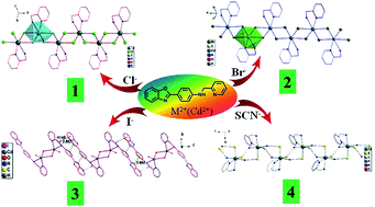 Graphical abstract: Cadmium(ii) supramolecular complexes constructed from a phenylbenzoxazole-based ligand: self-assembly, structural features and nonlinear optical properties