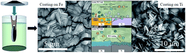 Graphical abstract: Formation initiation and structural changes of phosphate conversion coating on titanium induced by galvanic coupling and Fe2+ ions