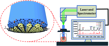 Graphical abstract: An optical fiber SERS sensor based on GO/AgNPs/rGO sandwich structure hybrid films