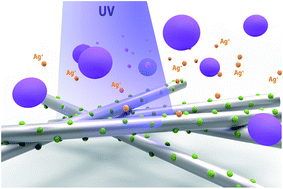 Graphical abstract: Modulation of bactericidal action in polymer nanocomposites: light-tuned Ag+ release from electrospun PMMA fibers