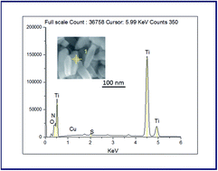 Graphical abstract: Prospective aspects of preferential {001} facets of N,S-co-doped TiO2 photocatalysts for visible-light-responsive photocatalytic activity