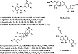 Graphical abstract: Protein elicitor isolated from Escherichia coli induced bioactive compound biosynthesis as well as gene expression in Glycyrrhiza uralensis Fisch adventitious roots