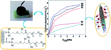 Graphical abstract: Effects of acidification time of MWCNTs on carbon dioxide capture of liquid-like MWCNTs organic hybrid materials
