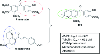 Graphical abstract: The synthesis and evaluation of new benzophenone derivatives as tubulin polymerization inhibitors