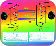 Graphical abstract: Fluoride adsorption on a cubical ceria nanoadsorbent: function of surface properties