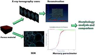 Graphical abstract: Microstructural characterization of biobased carbon foam by means of X-ray microtomography and compared to conventional techniques
