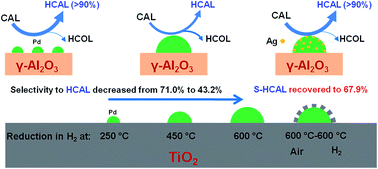 Graphical abstract: Particle size effects in the selective hydrogenation of cinnamaldehyde over supported palladium catalysts