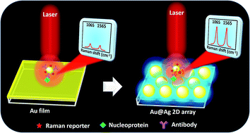 Graphical abstract: Extrinsic surface-enhanced Raman scattering detection of influenza A virus enhanced by two-dimensional gold@silver core–shell nanoparticle arrays