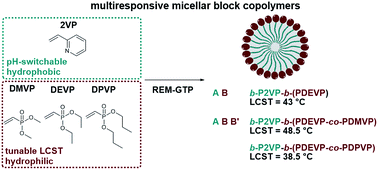 Graphical abstract: Multiresponsive micellar block copolymers from 2-vinylpyridine and dialkylvinylphosphonates with a tunable lower critical solution temperature