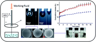 Graphical abstract: Magnetic-responsive microparticles with customized porosity for drug delivery