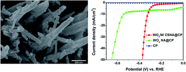 Graphical abstract: Self-supported tungsten/tungsten dioxide nanowires array as an efficient electrocatalyst in the hydrogen evolution reaction