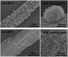 Graphical abstract: Formation of hierarchical bone-like apatites on silk microfiber templates via biomineralization