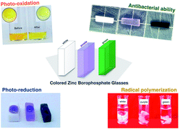 Graphical abstract: Catalytic and antibacterial activities of novel colored zinc borophosphate glasses