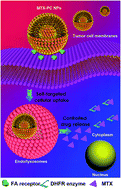 Graphical abstract: Self-assembly of multifunctional integrated nanoparticles loaded with a methotrexate–phospholipid complex: combining simplicity and efficacy in both targeting and anticancer effects