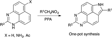 Graphical abstract: Rational design of an efficient one-pot synthesis of 6H-pyrrolo[2,3,4-gh]perimidines in polyphosphoric acid