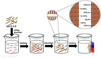 Graphical abstract: A novel Fe–La-doped hierarchical porous silica magnetic adsorbent for phosphate removal