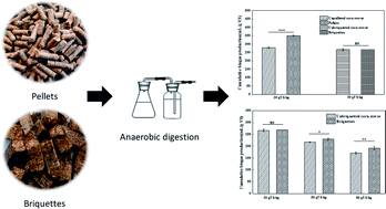 Graphical abstract: Effects of biomass densification on anaerobic digestion for biogas production
