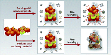 Graphical abstract: Nanocomposite films based on cellulose acetate/polyethylene glycol/modified montmorillonite as nontoxic active packaging material