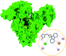 Graphical abstract: Synthesis, characterization, in vitro cytotoxicity, in silico ADMET analysis and interaction studies of 5-dithiocarbamato-1,3,4-thiadiazole-2-thiol and its zinc(ii) complex with human serum albumin: combined spectroscopy and molecular docking investigations