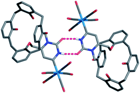 Graphical abstract: Installing tungsten Fischer carbene complexes into a calixarene framework