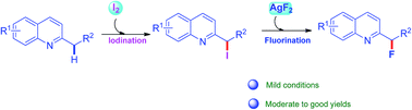 Graphical abstract: Halogenations of substituted 2-alkylquinoline with iodine and halide exchange with AgF2