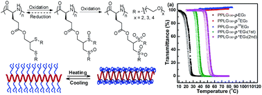 Graphical abstract: Biodegradable thermal- and redox-responsive poly(l-glutamate) with Y-shaped oligo(ethylene glycol) side-chain and tunable phase transition temperature