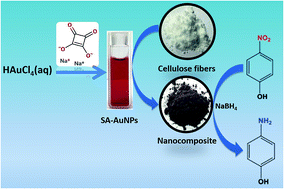 Graphical abstract: Green synthesis of gold nanoparticles reduced and stabilized by squaric acid and supported on cellulose fibers for the catalytic reduction of 4-nitrophenol in water