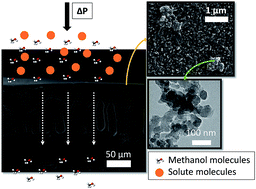 Graphical abstract: MOF nanoparticles of MIL-68(Al), MIL-101(Cr) and ZIF-11 for thin film nanocomposite organic solvent nanofiltration membranes