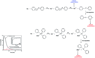 Graphical abstract: Squaric acid derivative effects on the kinetics of photopolymerization of different monomers