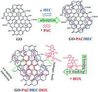 Graphical abstract: Mixed surfactant modified graphene oxide nanocarriers for DOX delivery to cisplatin-resistant human ovarian carcinoma cells