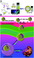 Graphical abstract: Self-assembly of the active lactone form of a camptothecin–phospholipid complex for sustained nuclear drug delivery