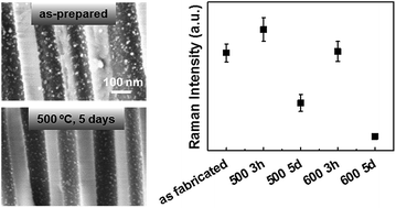 Graphical abstract: High-temperature stability of silver nanoparticles geometrically confined in the nanoscale pore channels of anodized aluminum oxide for SERS in harsh environments