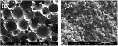 Graphical abstract: Influence of a non-biodegradable porous structure on bone repair