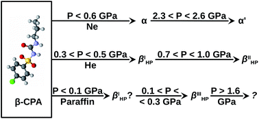 Graphical abstract: The role of fluids in high-pressure polymorphism of drugs: different behaviour of β-chlorpropamide in different inert gas and liquid media