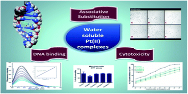 Graphical abstract: Benzimidazole based Pt(ii) complexes with better normal cell viability than cisplatin: synthesis, substitution behavior, cytotoxicity, DNA binding and DFT study