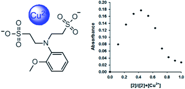 Graphical abstract: Water-soluble β-aminobisulfonate building blocks for pH and Cu2+ indicators