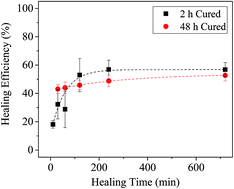 Graphical abstract: Effect of curing on the mechanical and healing behaviour of a hybrid dual network: a time resolved evaluation