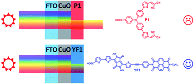 Graphical abstract: CuO nanomaterials for p-type dye-sensitized solar cells