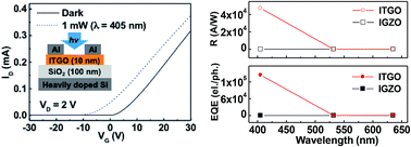 Graphical abstract: Photoresponses of InSnGaO and InGaZnO thin-film transistors