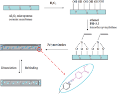 Graphical abstract: Fabrication of highly selective molecularly imprinted membranes for the selective adsorption of methyl salicylate from salicylic acid