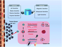 Graphical abstract: Multifunctional mesoporous silica nanocarriers for stimuli-responsive target delivery of anticancer drugs