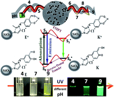 Graphical abstract: Turn-on pH nano-fluorosensor based on imidazolium salicylaldehyde ionic liquid-labeled silica nanoparticles