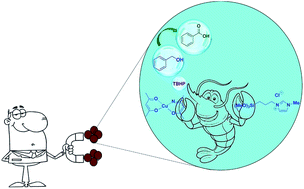 Graphical abstract: Imidazolium chloride immobilized on copper acetylacetonate-grafted magnetic chitosan as a new metal/ionic liquid bifunctional catalyst for selective oxidation of benzyl alcohols in water