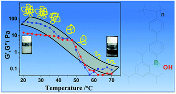 Graphical abstract: Thermo-responsive rheological behavior of borinic acid polymer in dilute solution